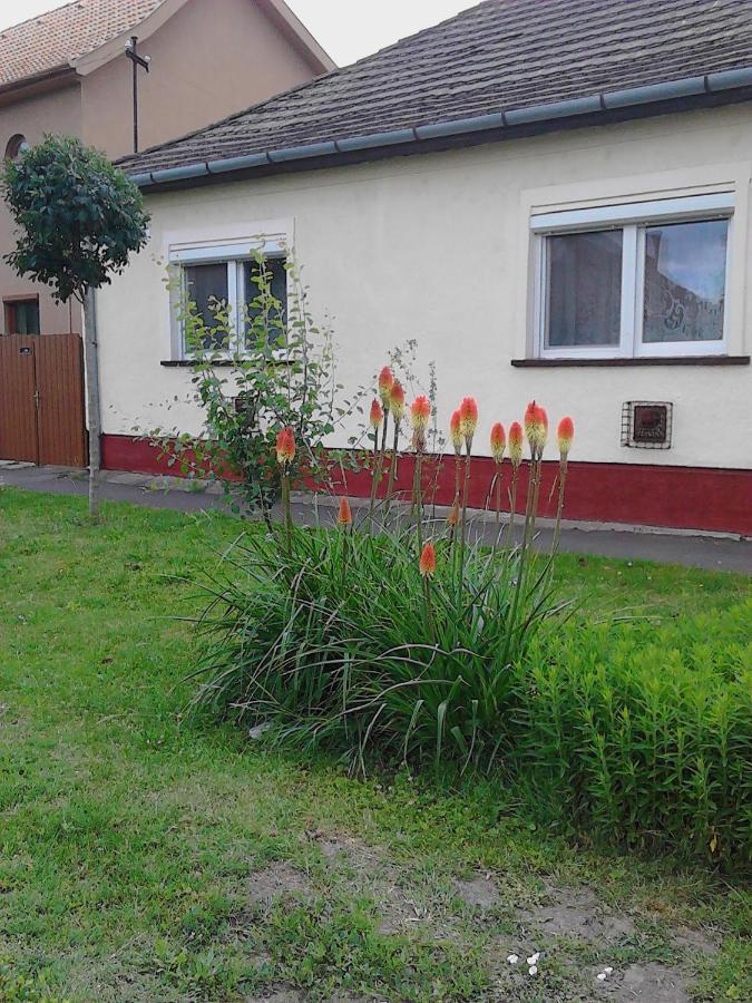 Apartament Toth Maganszallas Hajdúszoboszló Zewnętrze zdjęcie